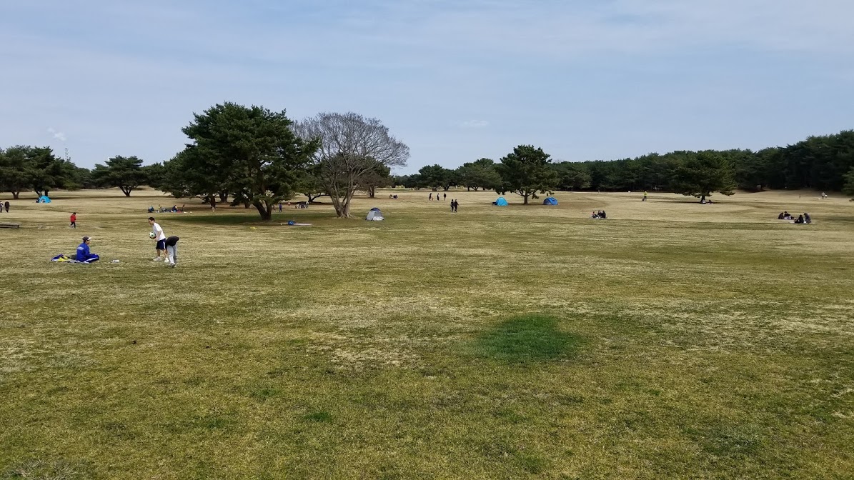 Huge area for a picnic